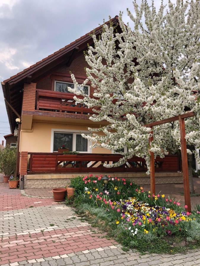Bed and Breakfast Angela Panzio à Berettyóújfalu Extérieur photo